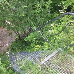 Geschmiedete Treppe mit Gelnder zum Zugang zum Fluss