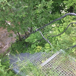 Geschmiedete Treppe mit Gelnder zum Zugang zum Fluss