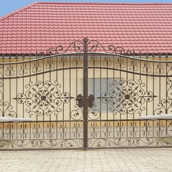 Geschmiedetes dekoratives Tor von UKOVMI Geschmiedetes dekoratives Tor von UKOVMI