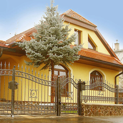 Schmiedeeiserner Zaun mit Wickelmuster  auergewhnliches Tor und Zaun an einem Einfamilienhaus
