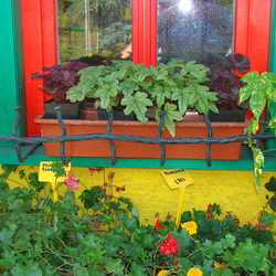 Geschmiedeter Fensterblumentopfhälter im Dorfstil - Fenstergitter für Blumen, hergestellt von UKOVMI Geschmiedeter Fensterblumentopfhälter im Dorfstil - Fenstergitter für Blumen, hergestellt von UKOVMI