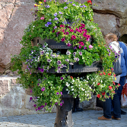 Luxury flower-pot TREE - hand-forged in Artistic blacksmith UKOVMI