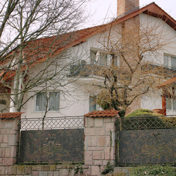 Geschmiedete Hausumzäunung mit Blech sorgt für Privatsphäre Geschmiedete Hausumzäunung mit Blech sorgt für Privatsphäre