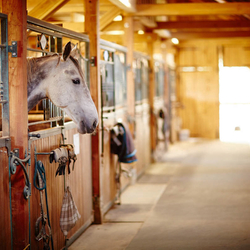 A wrought iron front - a sliding gate A wrought iron front - a sliding gate