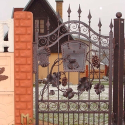 A vine embedded in a wrought iron gate