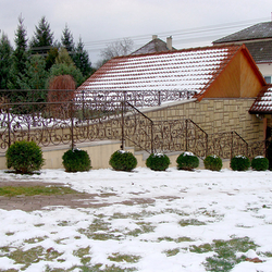 A wrought iron railing - stairs in a garden