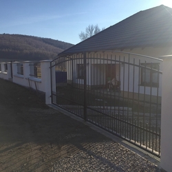 Gesamtansicht an geschmiedetes Tor, Pforte und Zaun Gesamtansicht an geschmiedetes Tor, Pforte und Zaun