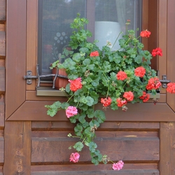 Blumenkastenhalterung für Fensterbank im Vintage-Stil an der Hütte Blumenkastenhalterung für Fensterbank im Vintage-Stil an der Hütte