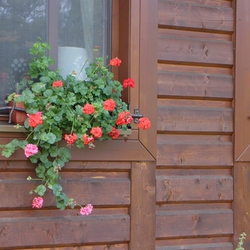 Schmiedeeiserne Fensterrahmen mit dem Muster BABICKA, abgestimmt auf den Zaun