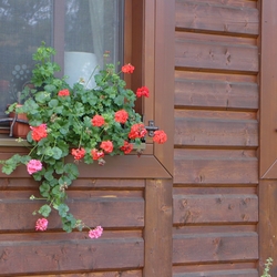 Wrought iron window ledges with the GRANDMA pattern matching with the cottage fence