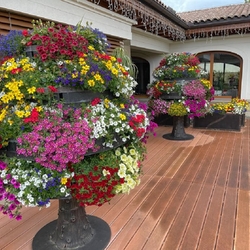 Künstlerisches Gartendesign - Blumentöpfe geschmiedet in Form von Bäumen mit drehbaren Lagern Künstlerisches Gartendesign - Blumentöpfe geschmiedet in Form von Bäumen mit drehbaren Lagern